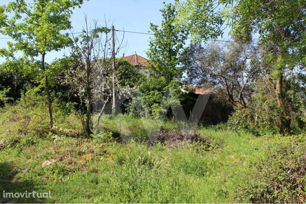 Moradia e terreno com 4200m2 em Valença. Investimento Estratégico em T - Grande imagem: 4/20