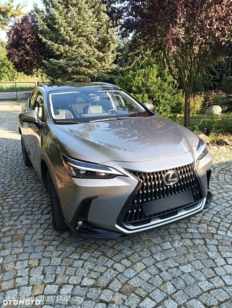 Lexus NX 350h Prestige AWD - 1