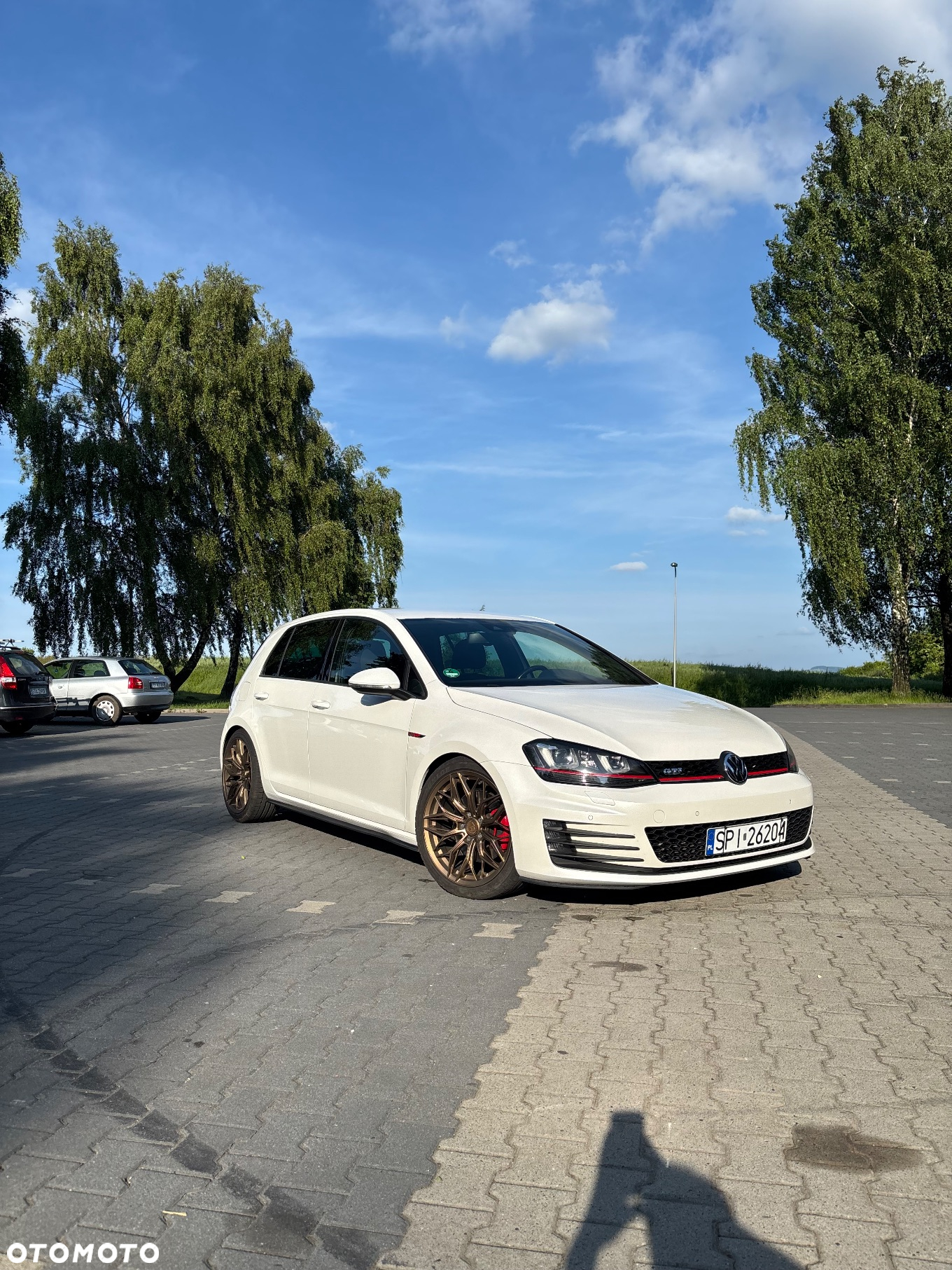 Volkswagen Golf VII 2.0 TSI BMT GTI DSG - 2