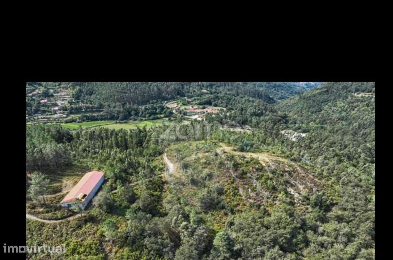 Terreno Rústico em Terras de Bouro - Grande imagem: 4/5
