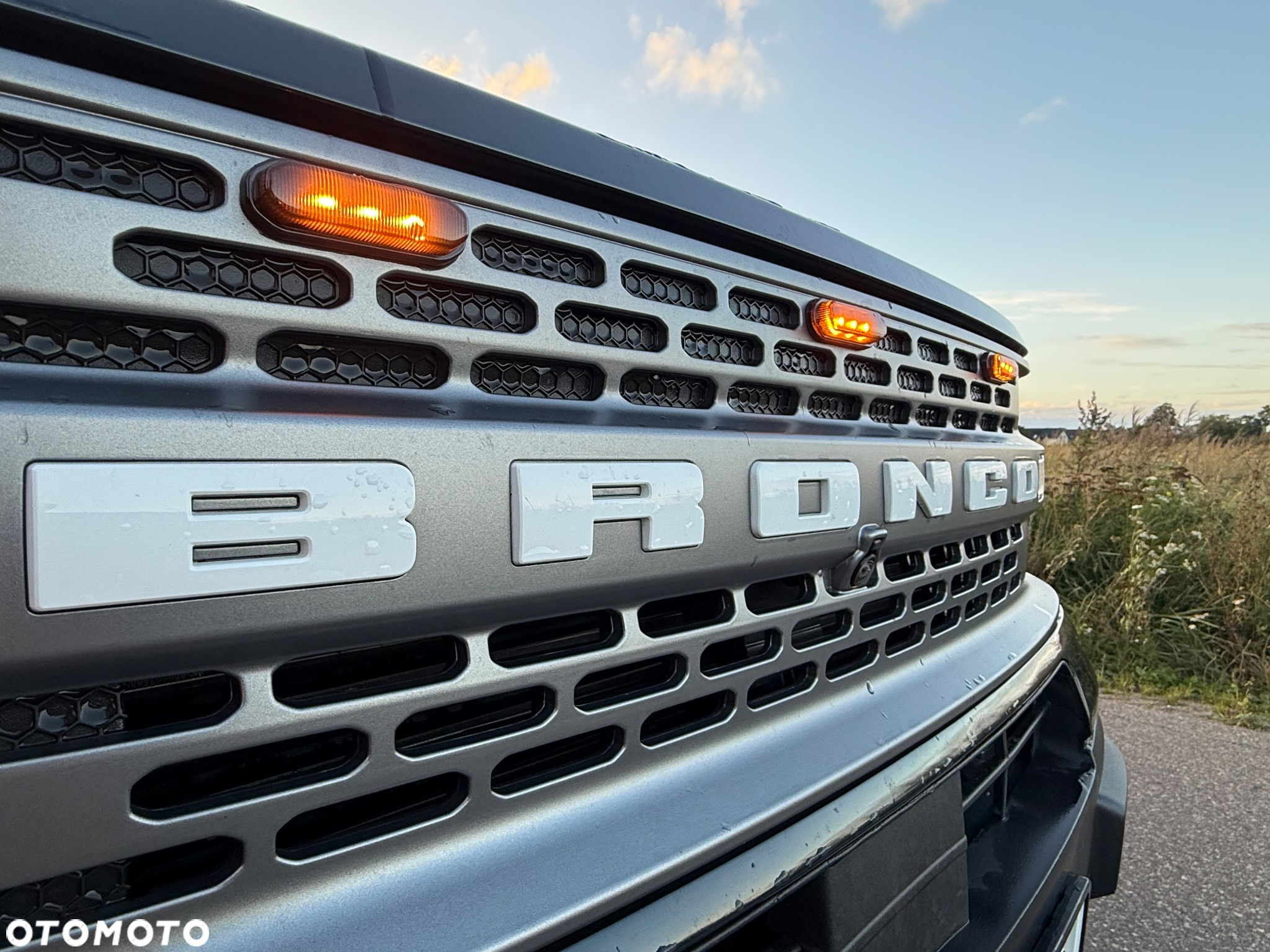 Ford Inny - 6