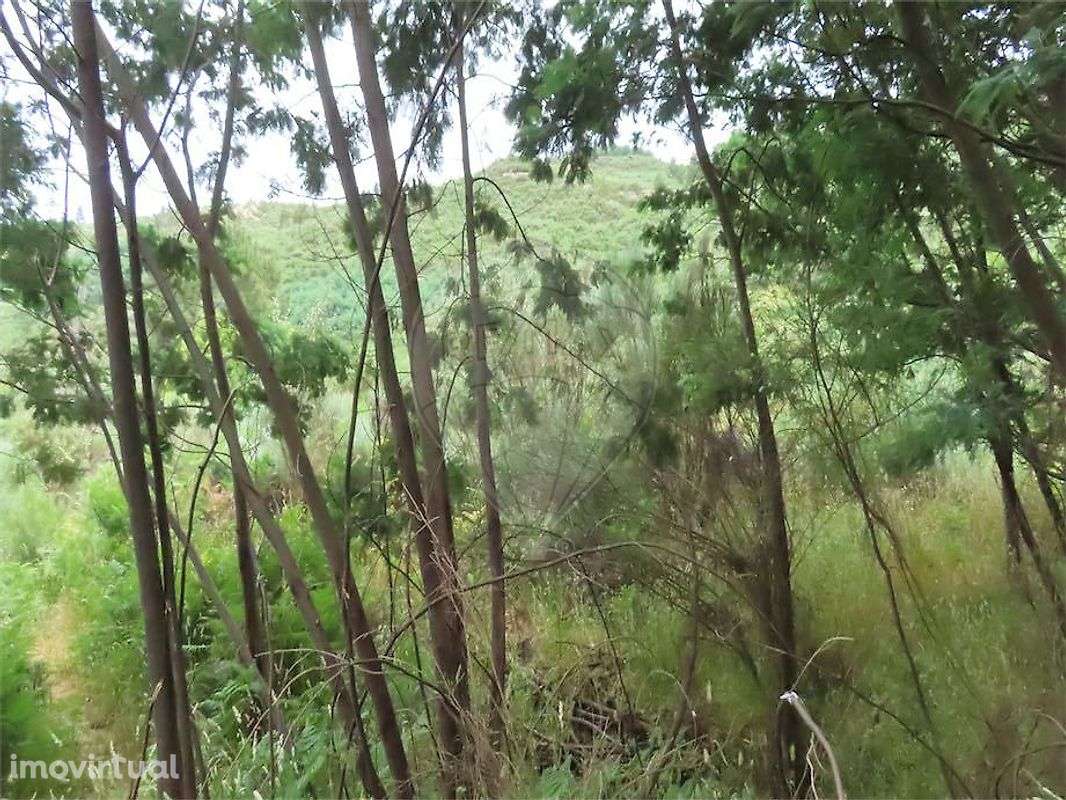 Quinta  para venda - Grande imagem: 5/9