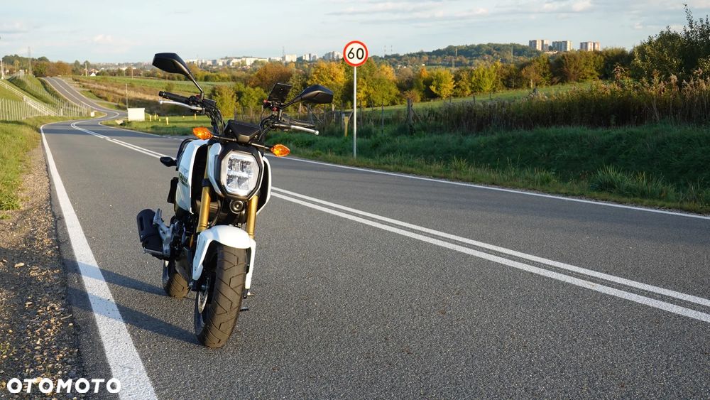 Honda MSX 125 - 10