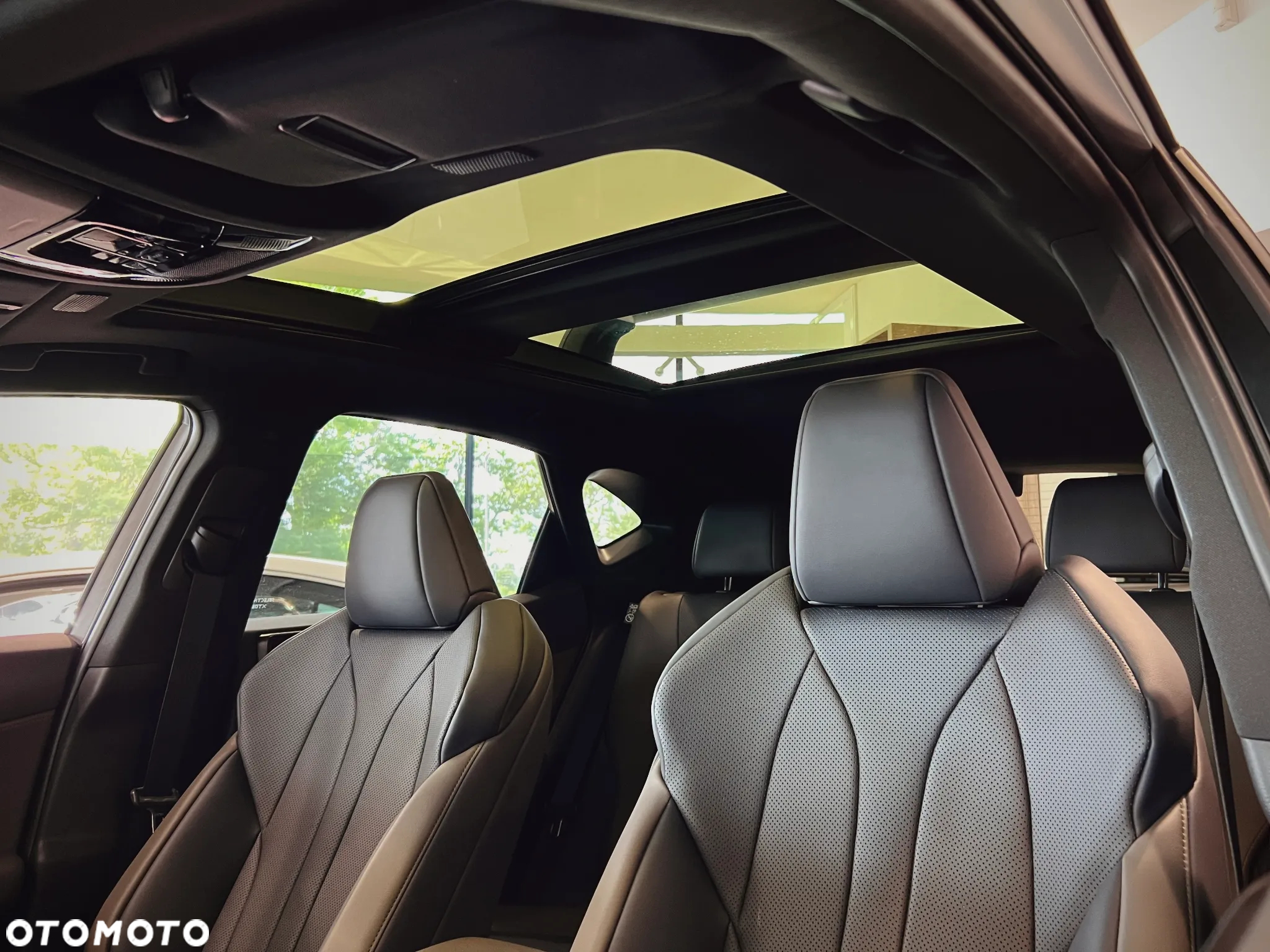Lexus NX 350h Overtrail AWD - 16