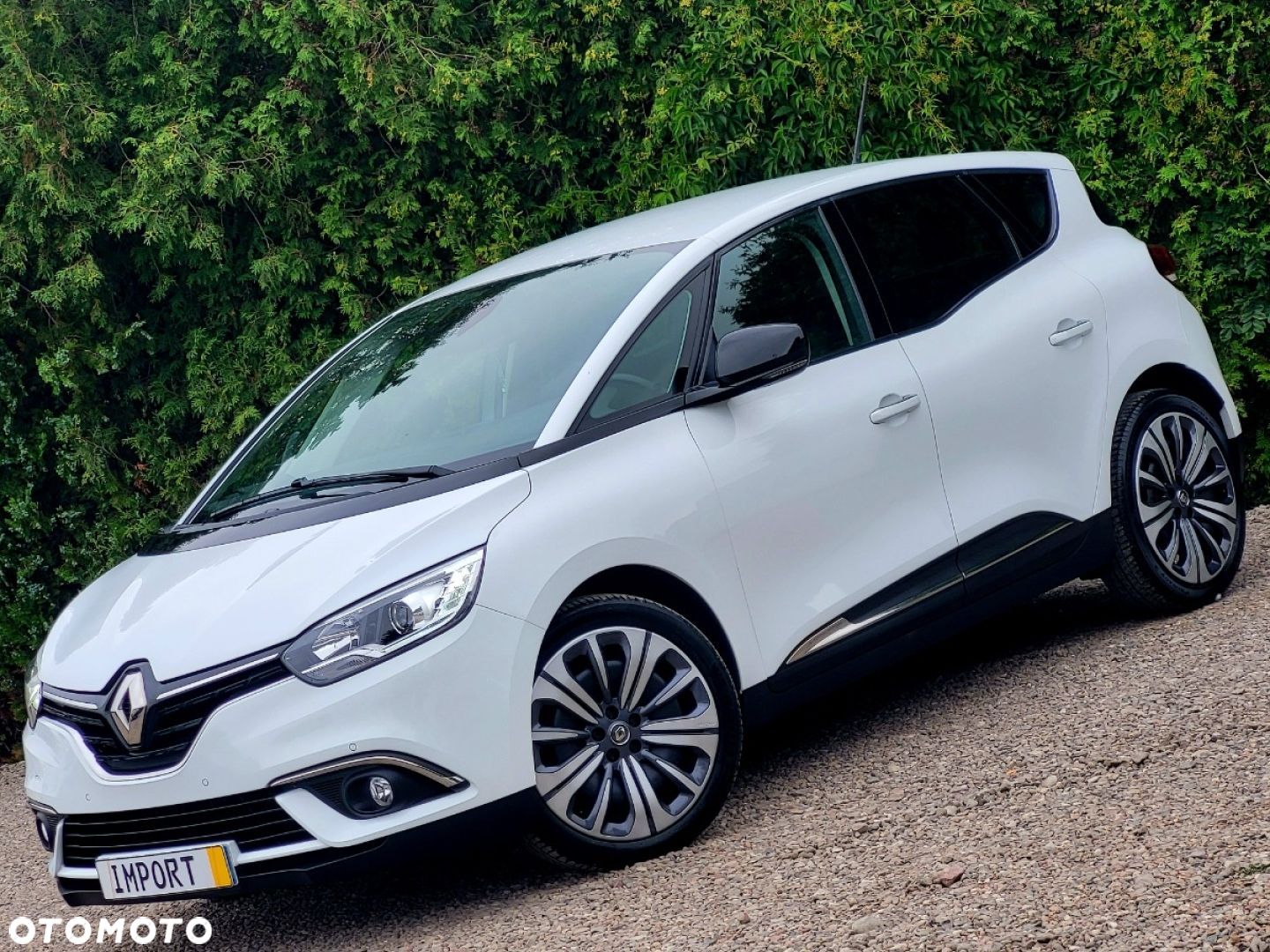 Renault Scenic - 1