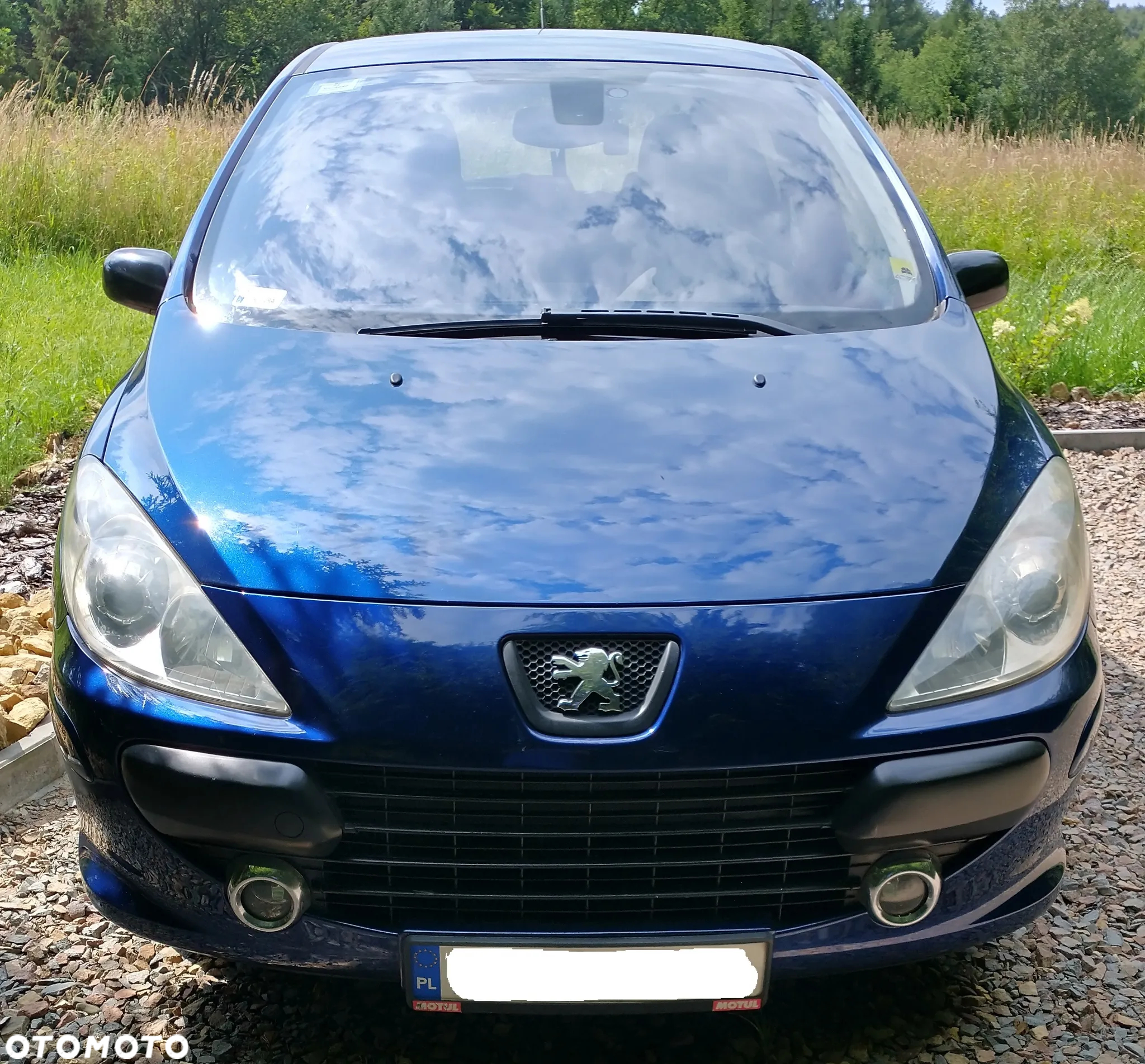 Peugeot 307 1.6 HDI Trendy - 2