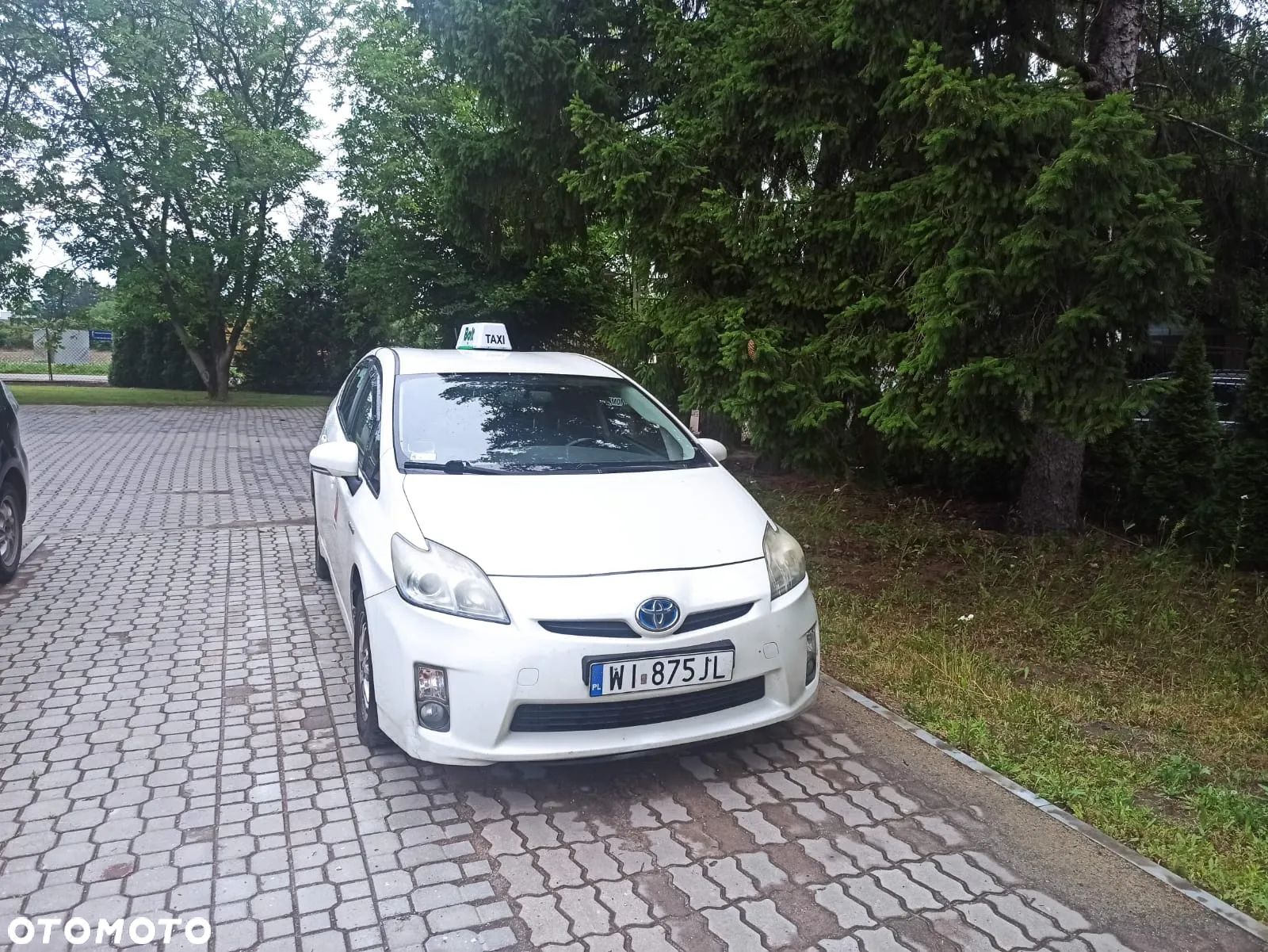 Toyota Prius (Hybrid) - 1