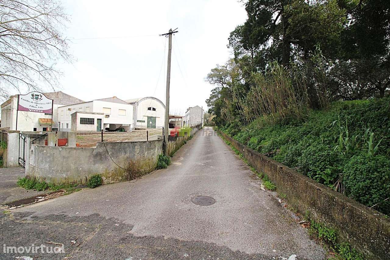 Terreno Rústico de 5.005m2 na Quinta das Façalvas - Palmela - Grande imagem: 3/23