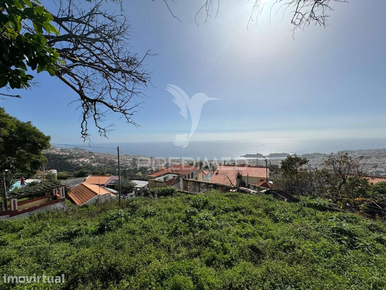 Moradia T3 Funchal na Ilha da Madeira - Grande imagem: 4/30