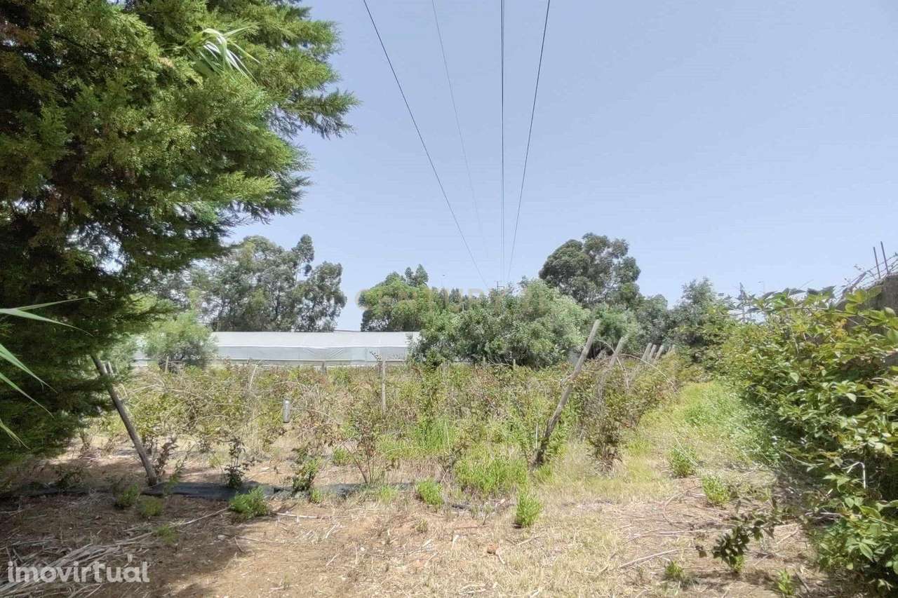Terreno Multiusos com 3360m² junto às auto-estradas em Alverca do Riba - Grande imagem: 3/8