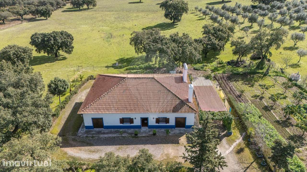 Quinta T4 para venda - Grande imagem: 2/37