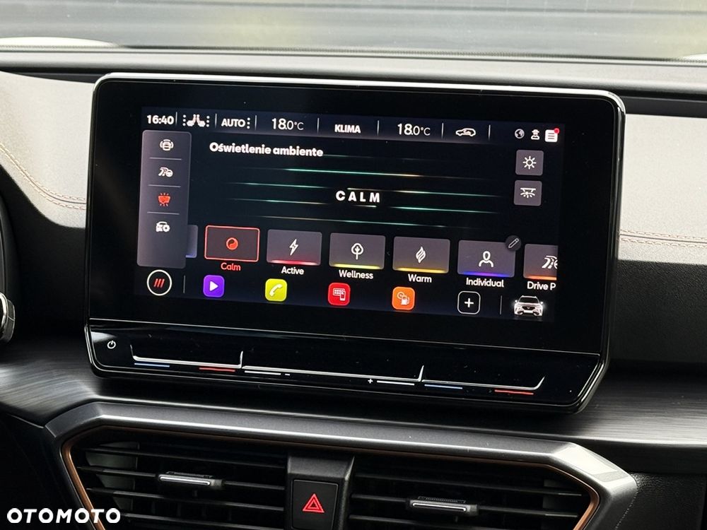 Cupra Formentor 1.5 TSI DSG - 39