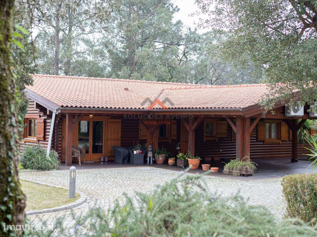 Fantástica Quinta em Oliveira de Azemeís!!! - Grande imagem: 4/60