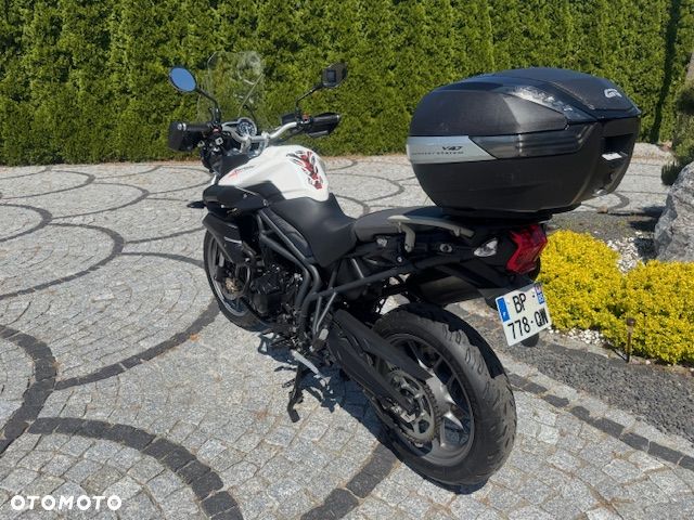 Triumph Tiger - 10