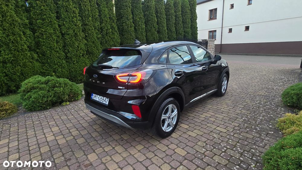 Ford Puma - 8