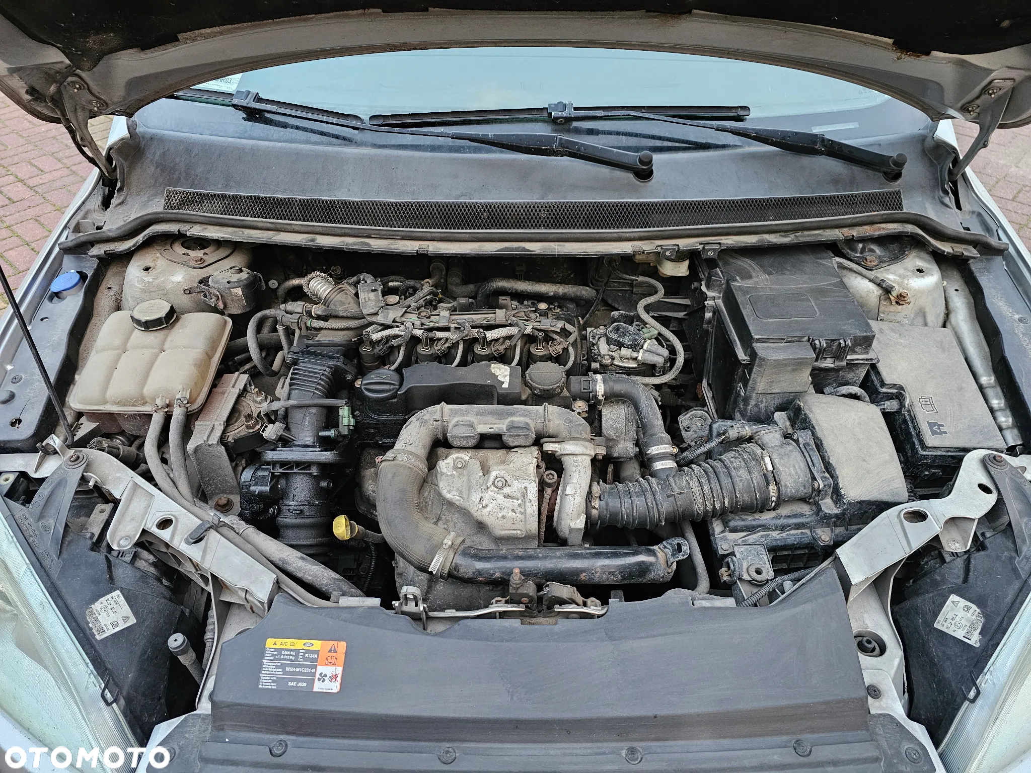Ford Focus - 11