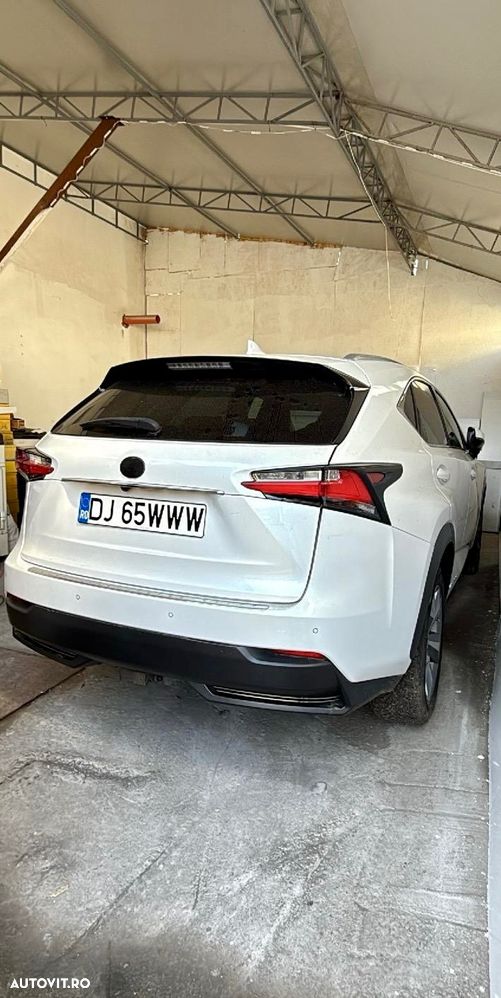 Lexus Seria NX 300h AWD Luxury - 10