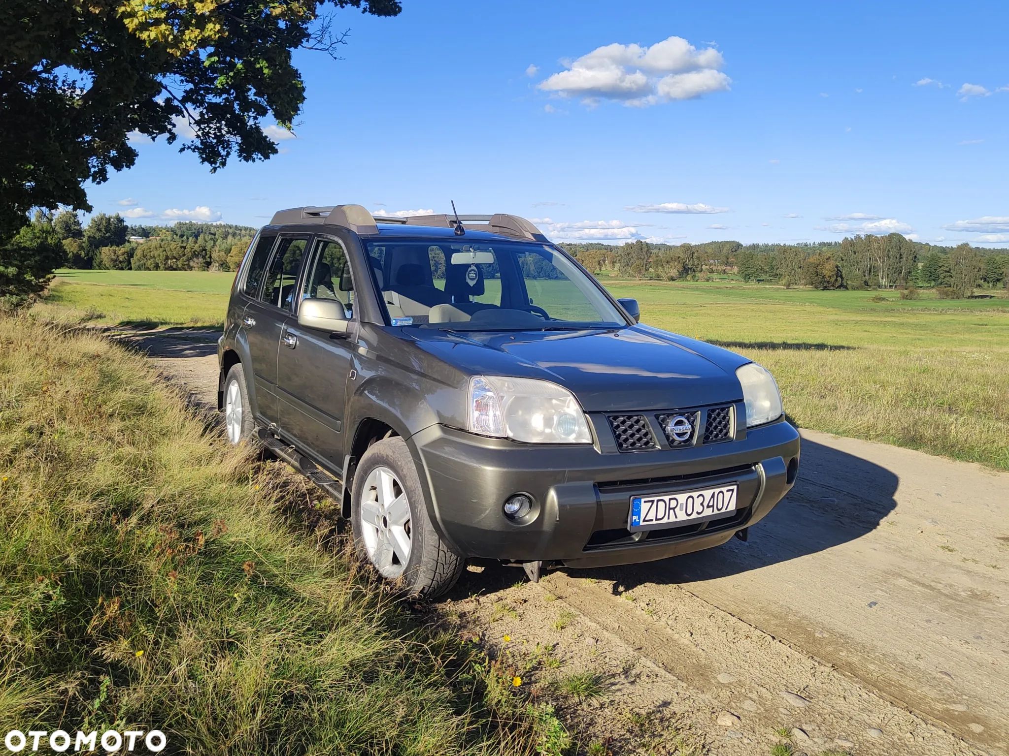 Nissan X-Trail - 1