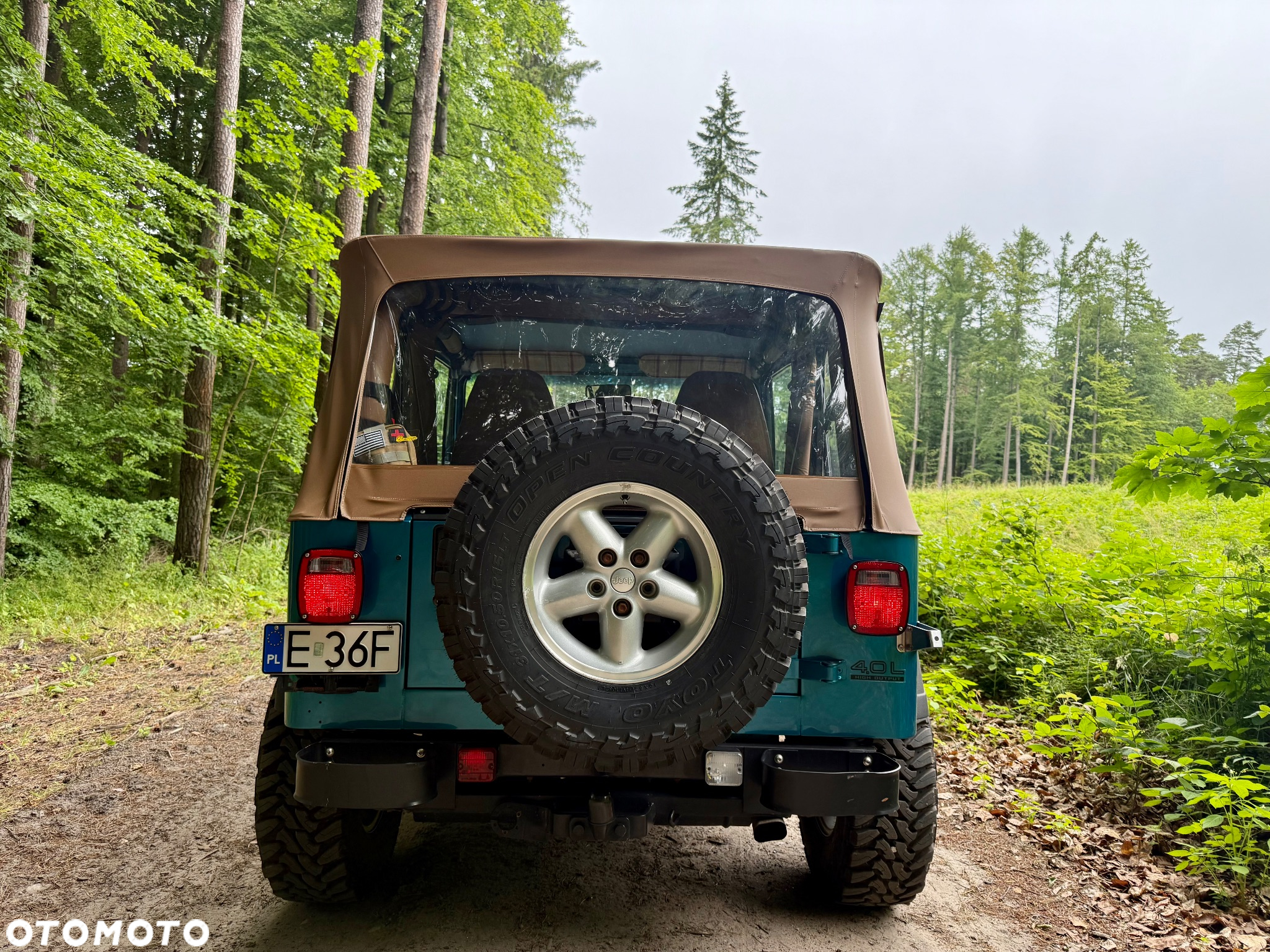 Jeep Wrangler 4.0 - 21