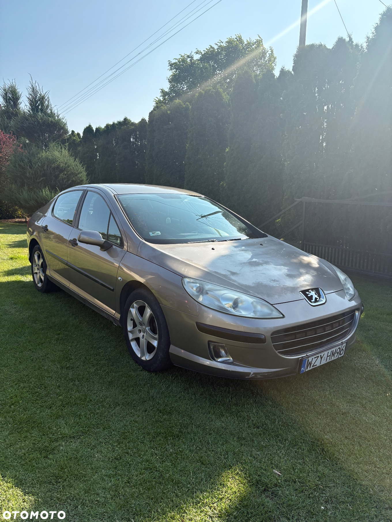 Peugeot 407 - 6