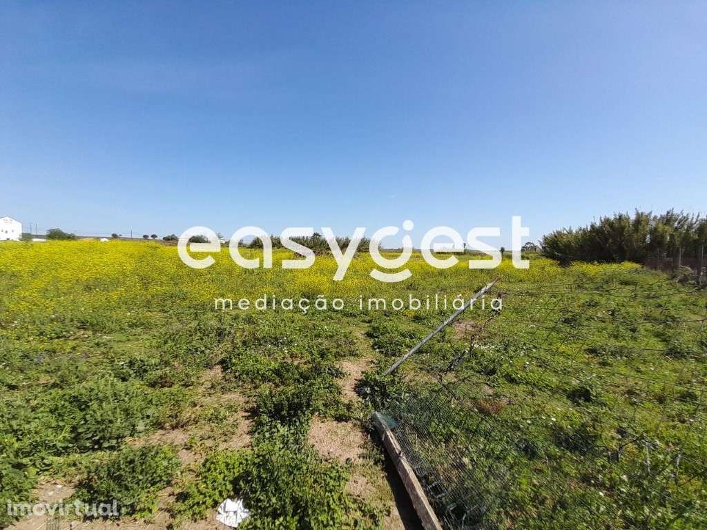 Terreno em Beja com 20.000 m2, acesso pela Estrada Nacional - Grande imagem: 3/41