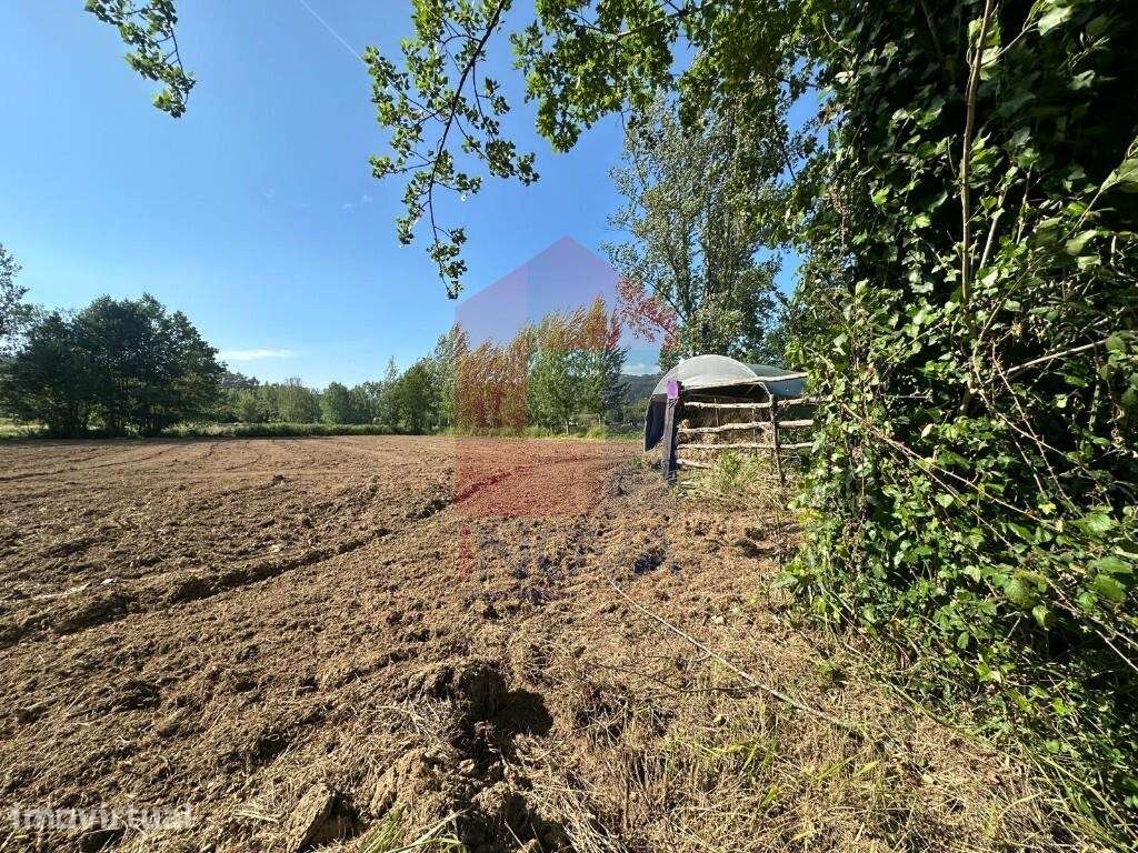 Terreno agrícola, Carreiras São Miguel - Grande imagem: 2/25