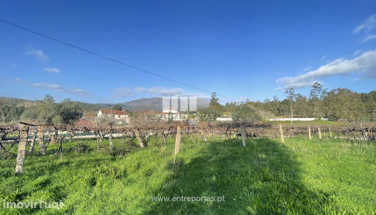 Venda de terreno para construção com 1000m², Meixedo, Viana do Cast - Grande imagem: 5/23