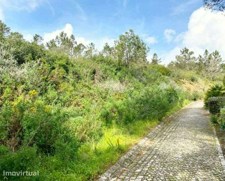 Construção de edifícios para escritórios e comércio | Sintra - Grande imagem: 2/12