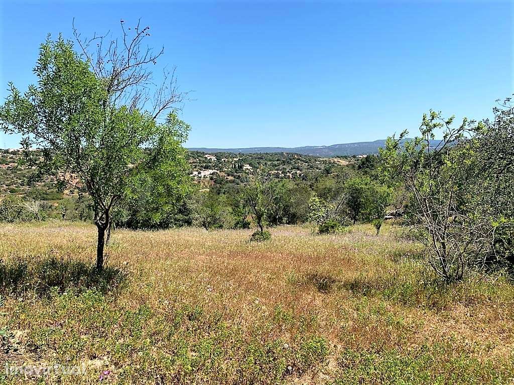 Quintinha com ruína em Paderne, Albufeira - Grande imagem: 4/9