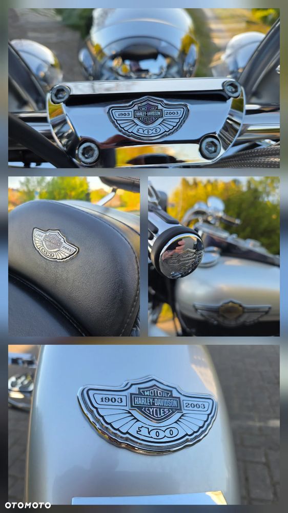 Harley-Davidson Softail Heritage Classic - 31
