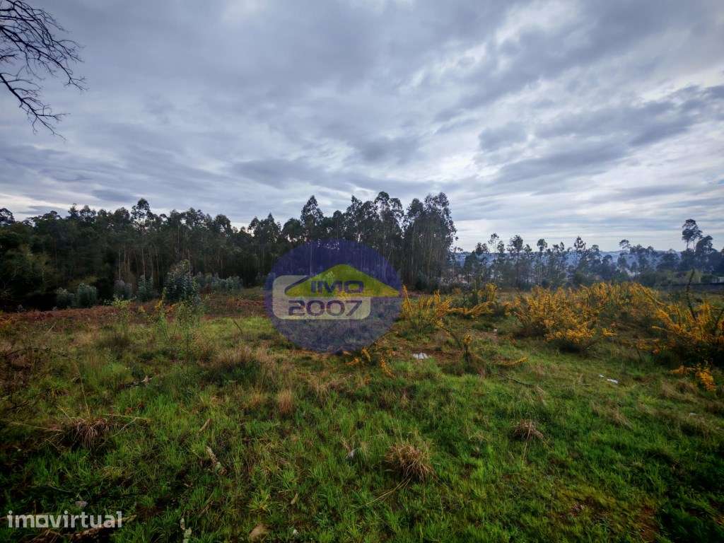 Terreno com viabilidade construção em altura - Grande imagem: 3/22
