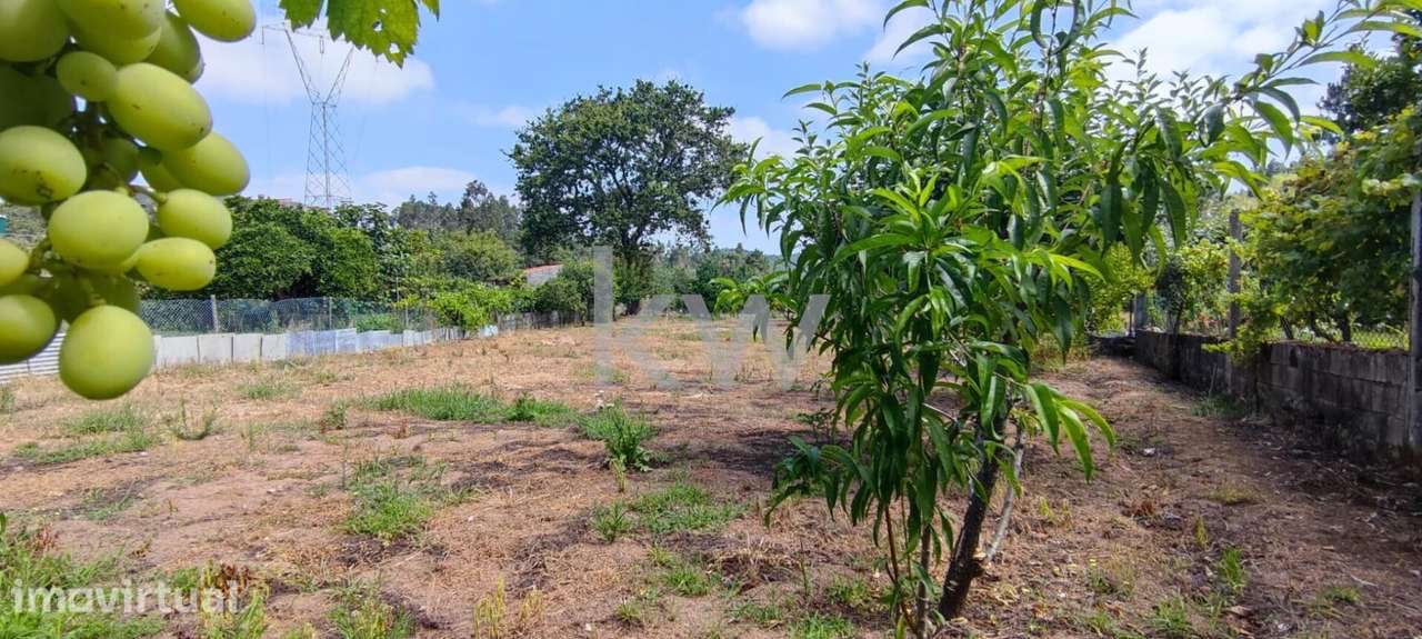 Terreno com 1820m2 em Brasfemes, Coimbra - Grande imagem: 4/12