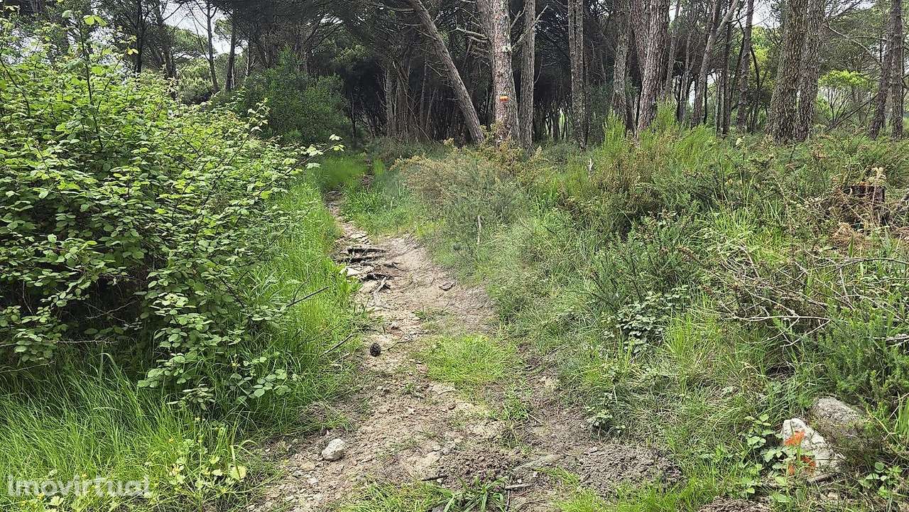 Terreno  para venda - Grande imagem: 2/4