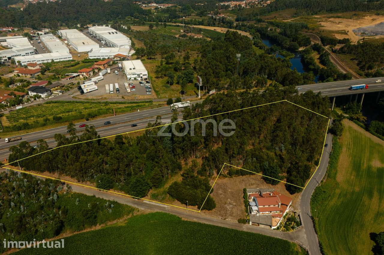 Terreno Florestal em Santo Tirso - Grande imagem: 4/7