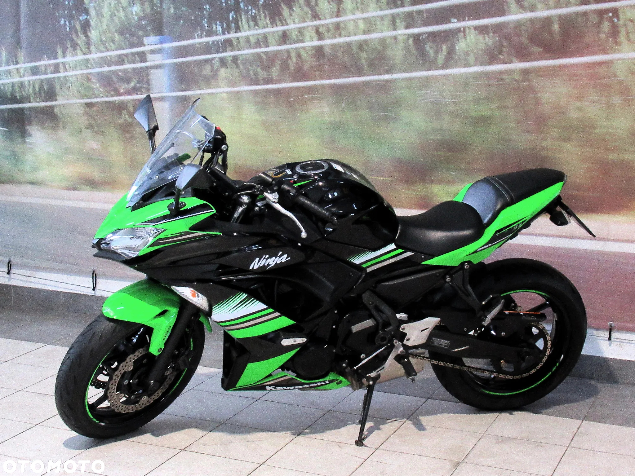 Kawasaki Ninja - 3