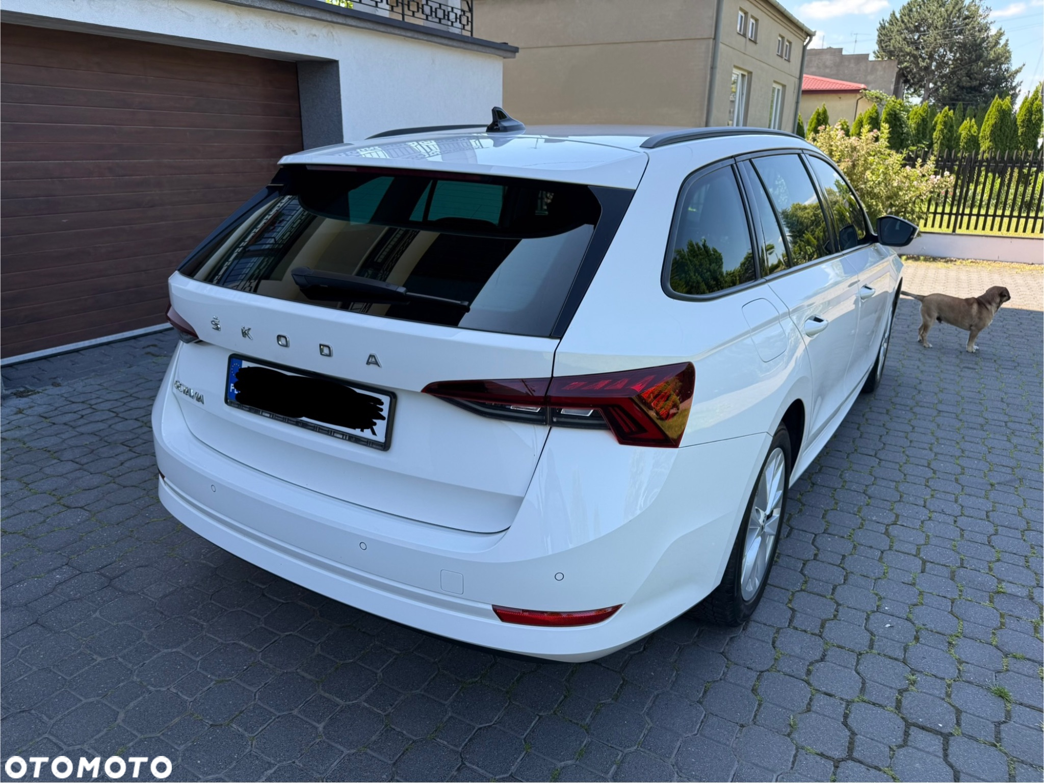 Skoda Octavia 1.0 TSI Ambition - 7