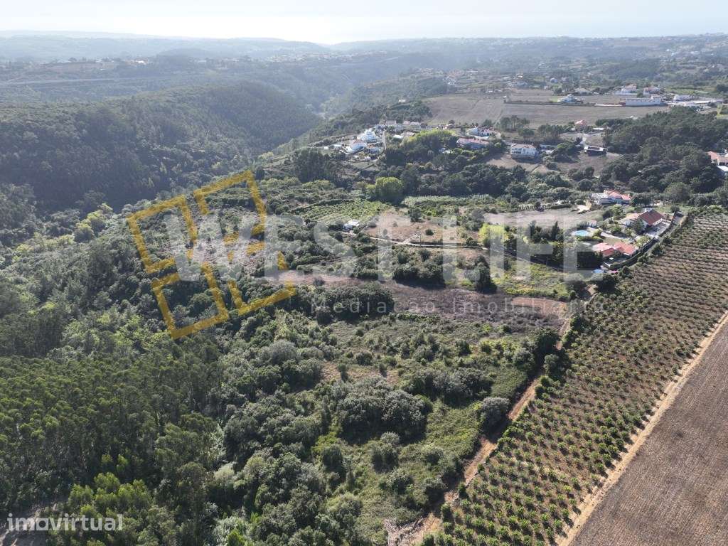 Terreno em Mafra - Terreno Rústico com 3562m2 localizado em Sobreiro - Grande imagem: 4/20