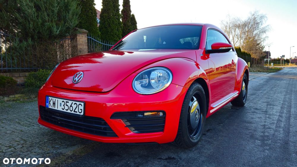 Volkswagen Beetle - 11