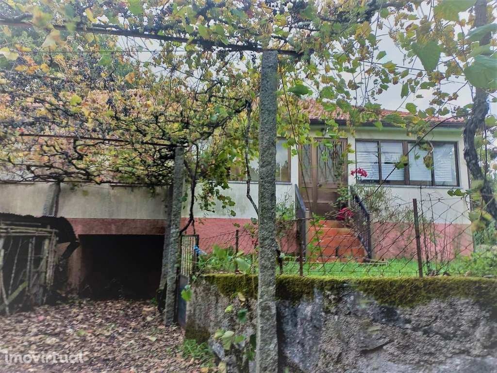 Moradia T3 em Bico - Grande imagem: 3/19