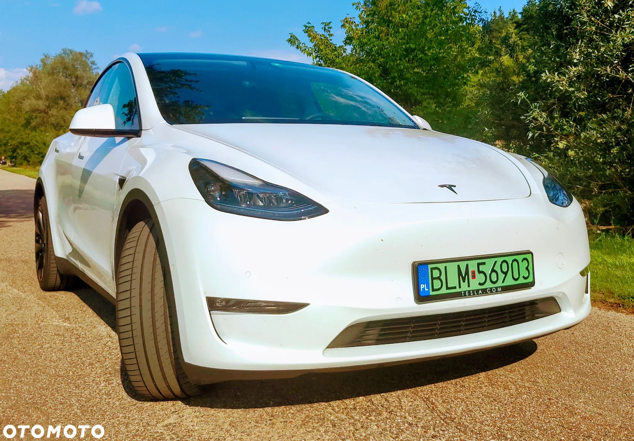 Tesla Y Model Long Range Dual Motor AWD - 1