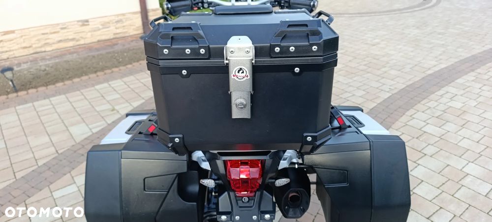 Triumph Tiger - 30