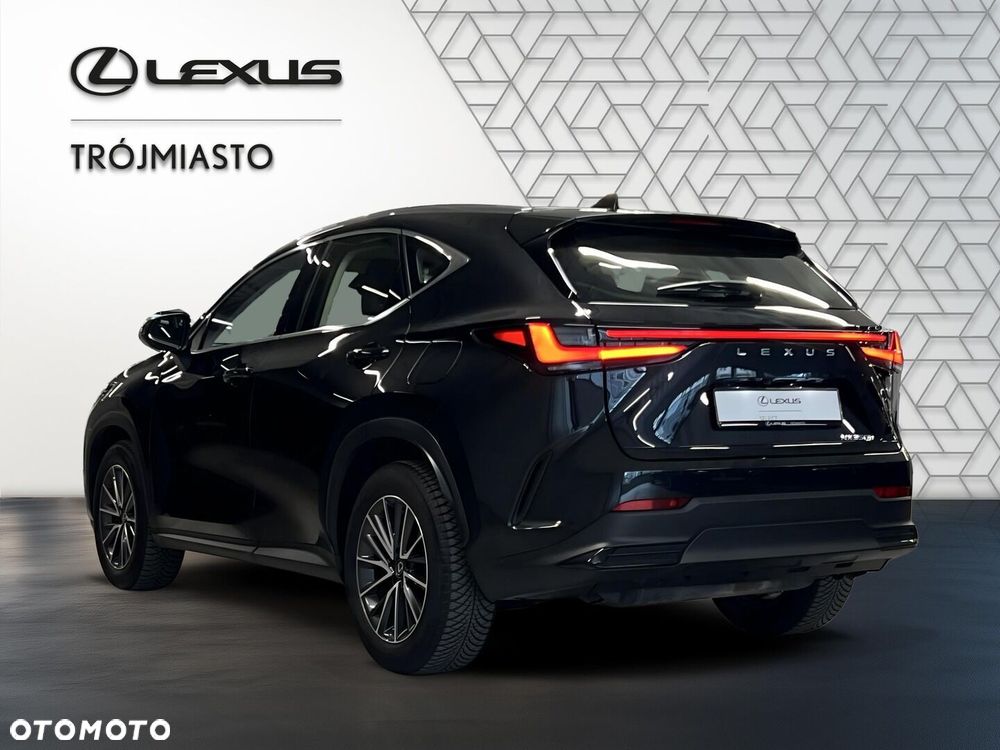 Lexus NX 350h Business AWD - 6