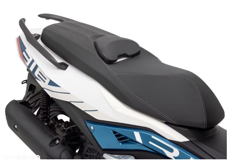 Ariic 318 - 10