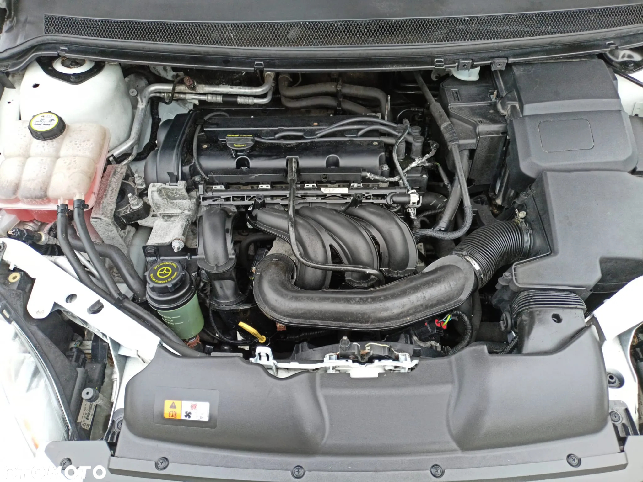 Ford Focus 1.6 16V White Magic - 18