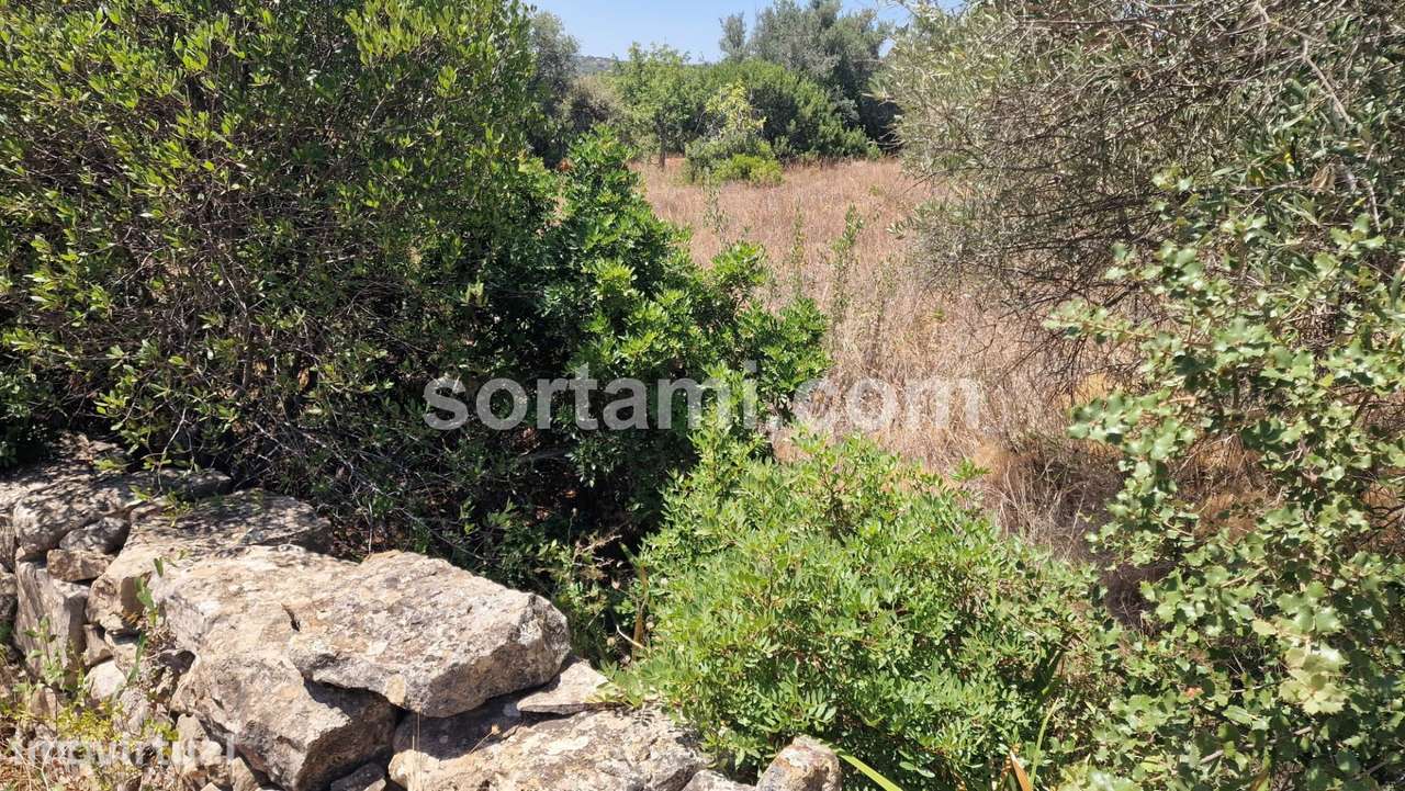 Terreno Para Construção  Venda em Santa Bárbara de Nexe,Faro - Grande imagem: 5/12