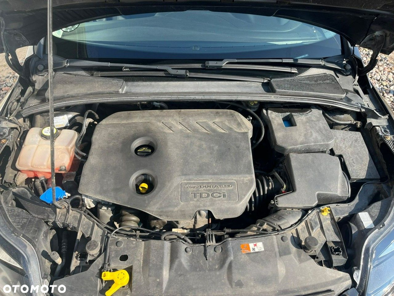 Ford Focus - 21