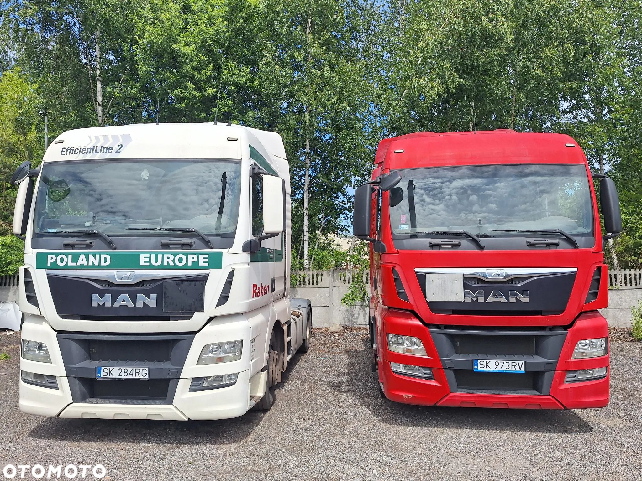 MAN TGX - 1