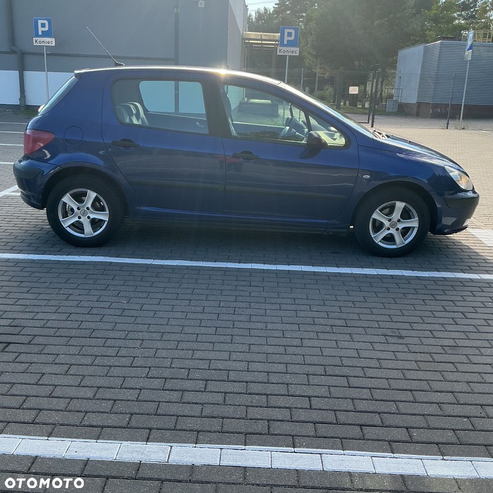 Peugeot 307 110 OXYGO - 8