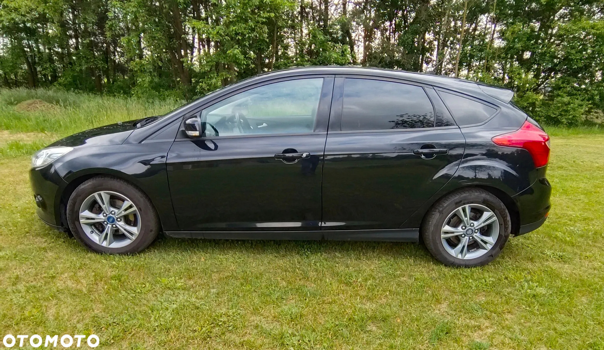 Ford Focus - 7