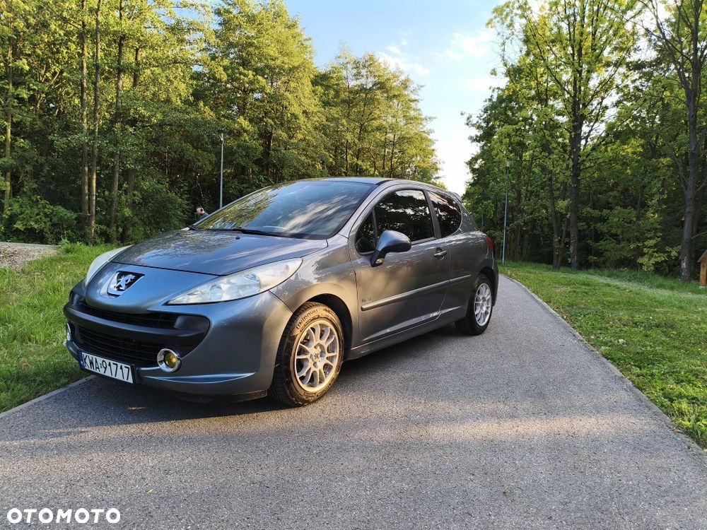 Peugeot 207 - 5